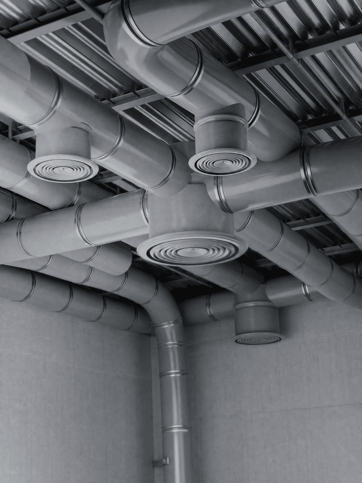 Ducted heat pump system installed in a Hamilton home